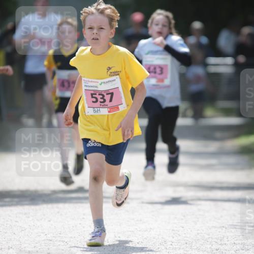 17.05.2025 - Störlauf H.Heesch http://msf.ph/oto/7895047 17.05.2025 13:56:12 Ziel 931, 2025, 537, 143 meine-sportfotos.de