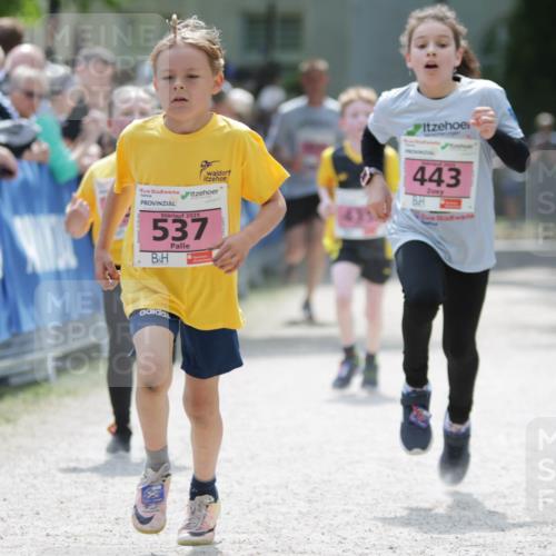17.05.2025 - Störlauf H.Heesch http://msf.ph/oto/7895053 17.05.2025 13:56:15 Ziel 443, 2025, 537 meine-sportfotos.de