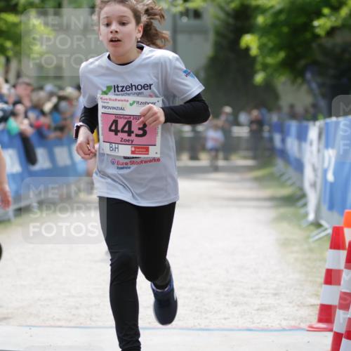 17.05.2025 - Störlauf H.Heesch http://msf.ph/oto/7895060 17.05.2025 13:56:16 Ziel 31, 202, 443 meine-sportfotos.de