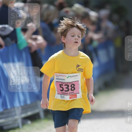 17.05.2025 - Störlauf H.Heesch http://msf.ph/oto/7895365 17.05.2025 13:56:39 Ziel 2025, 538 meine-sportfotos.de