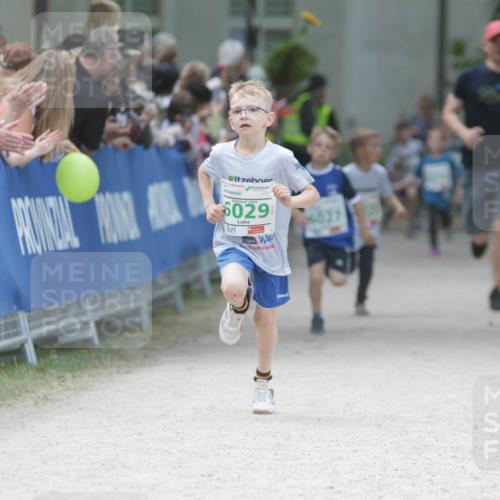 17.05.2025 - Störlauf H.Heesch http://msf.ph/oto/7895555 17.05.2025 13:16:33 Ziel 2025, 6029, 6027 meine-sportfotos.de