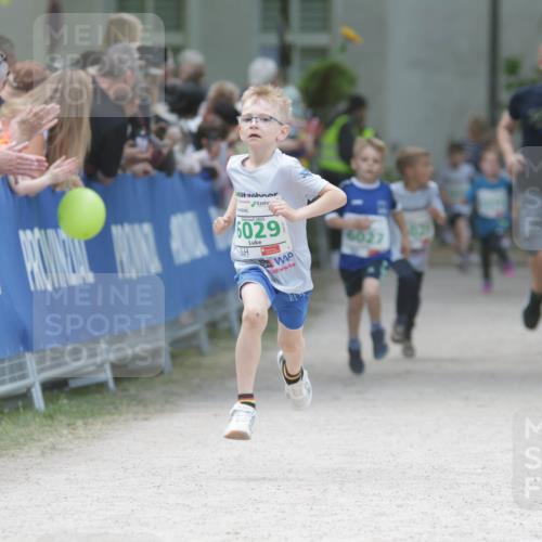 17.05.2025 - Störlauf H.Heesch http://msf.ph/oto/7895557 17.05.2025 13:16:33 Ziel 2025, 6029, 6027 meine-sportfotos.de