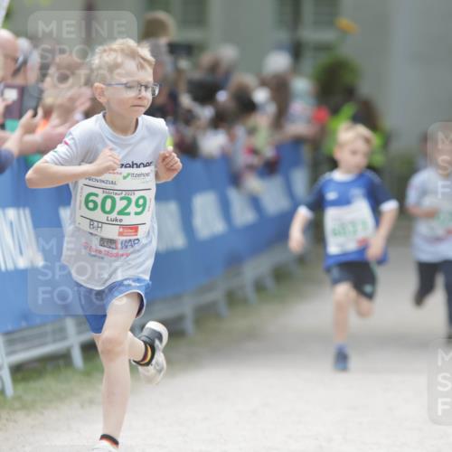 17.05.2025 - Störlauf H.Heesch http://msf.ph/oto/7895564 17.05.2025 13:16:34 Ziel 2025, 6029 meine-sportfotos.de