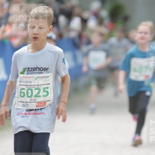 17.05.2025 - Störlauf H.Heesch http://msf.ph/oto/7895582 17.05.2025 13:16:40 Ziel 2025, 6025, 6071 meine-sportfotos.de
