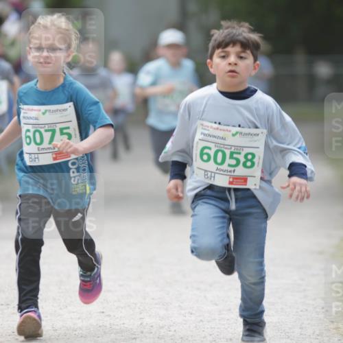 17.05.2025 - Störlauf H.Heesch http://msf.ph/oto/7895586 17.05.2025 13:16:41 Ziel 5065, 2025, 6075, 2025, 6058 meine-sportfotos.de