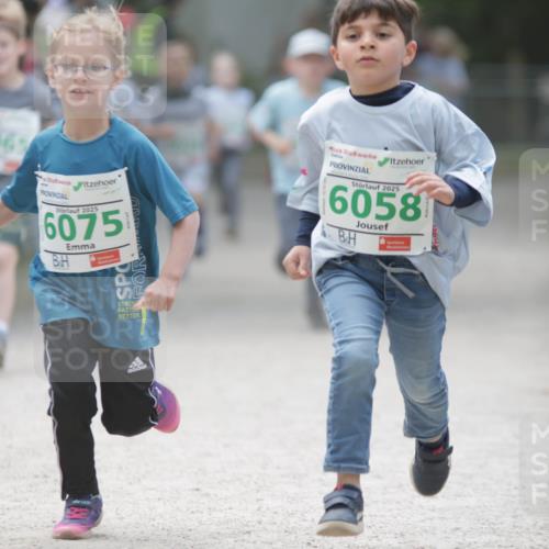 17.05.2025 - Störlauf H.Heesch http://msf.ph/oto/7895588 17.05.2025 13:16:41 Ziel 2, 606, 2025, 6075, 2025, 6058 meine-sportfotos.de