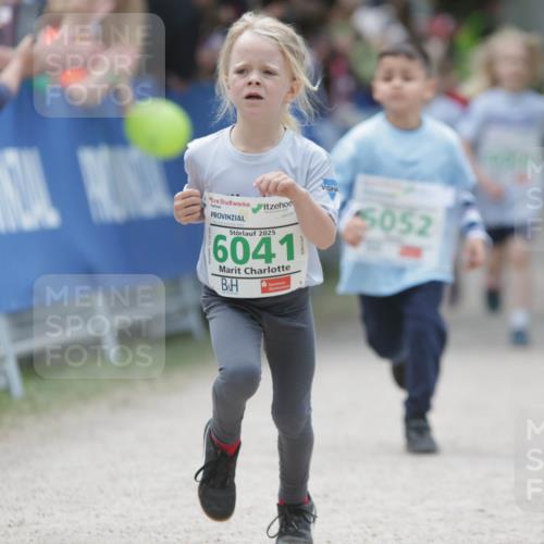 17.05.2025 - Störlauf H.Heesch http://msf.ph/oto/7895601 17.05.2025 13:16:48 Ziel 2025, 6041, 5052 meine-sportfotos.de