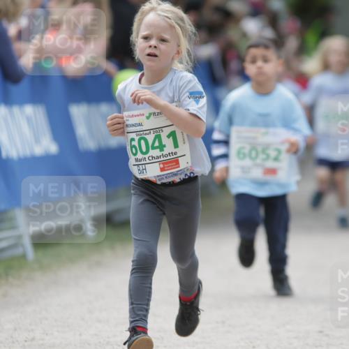 17.05.2025 - Störlauf H.Heesch http://msf.ph/oto/7895602 17.05.2025 13:16:49 Ziel 2025, 6041, 6052 meine-sportfotos.de