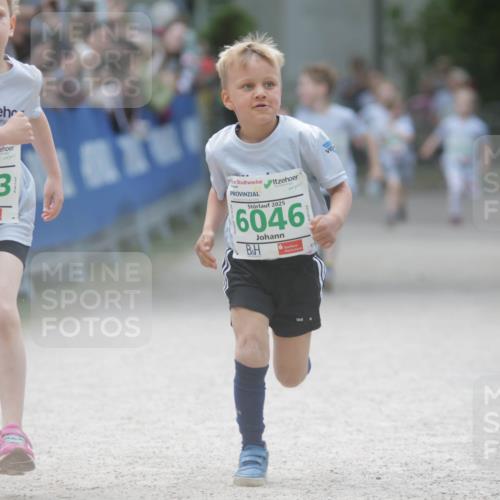 17.05.2025 - Störlauf H.Heesch http://msf.ph/oto/7895637 17.05.2025 13:16:59 Ziel 2025, 6023, 2025, 6046 meine-sportfotos.de