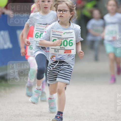 17.05.2025 - Störlauf H.Heesch http://msf.ph/oto/7895644 17.05.2025 13:17:06 Ziel 67, 2025, 06, 1 meine-sportfotos.de