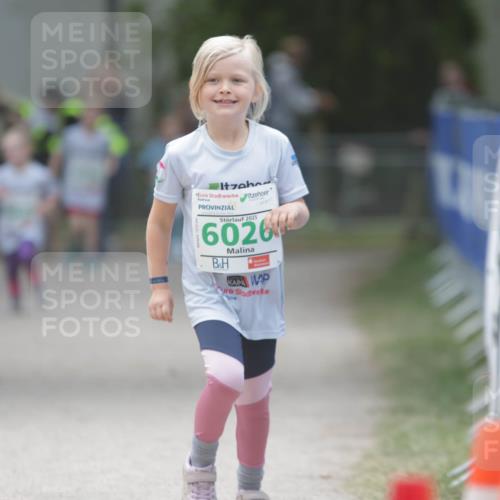 17.05.2025 - Störlauf H.Heesch http://msf.ph/oto/7895660 17.05.2025 13:17:09 Ziel 2025, 003, 2025, 6026 meine-sportfotos.de