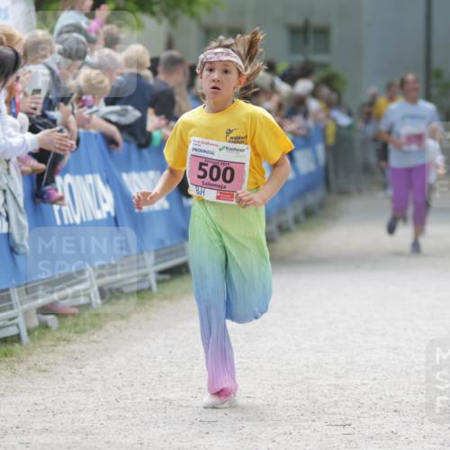 17.05.2025 - Störlauf H.Heesch http://msf.ph/oto/7895670 17.05.2025 13:57:20 Ziel 2025, 500 meine-sportfotos.de