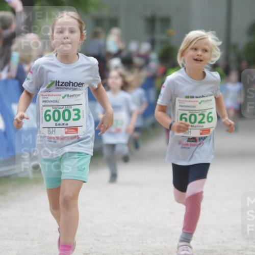 17.05.2025 - Störlauf H.Heesch http://msf.ph/oto/7895673 17.05.2025 13:17:12 Ziel 2025, 6003, 2025, 6026 meine-sportfotos.de