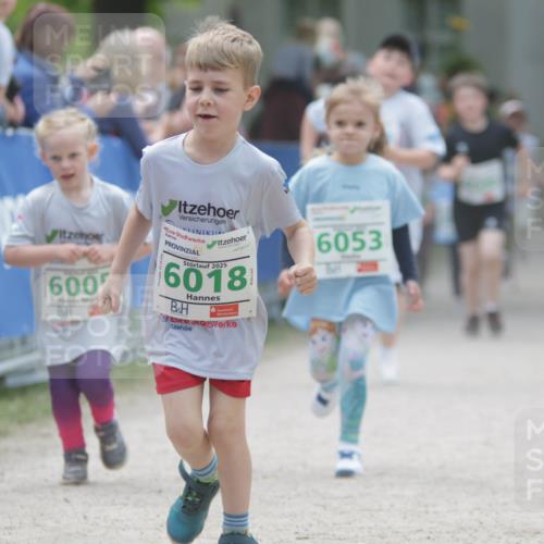 17.05.2025 - Störlauf H.Heesch http://msf.ph/oto/7895704 17.05.2025 13:17:22 Ziel 600, 2025, 6018, 6053 meine-sportfotos.de