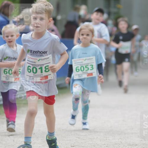 17.05.2025 - Störlauf H.Heesch http://msf.ph/oto/7895705 17.05.2025 13:17:22 Ziel 60, 2025, 6018, 6053 meine-sportfotos.de