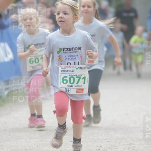 17.05.2025 - Störlauf H.Heesch http://msf.ph/oto/7895751 17.05.2025 13:17:34 Ziel 601, 2025, 6071 meine-sportfotos.de