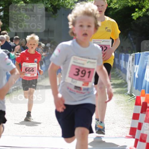 17.05.2025 - Störlauf H.Heesch http://msf.ph/oto/7895802 17.05.2025 13:57:39 Ziel 674, 666, 391, 32 meine-sportfotos.de