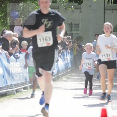 17.05.2025 - Störlauf H.Heesch http://msf.ph/oto/7895931 17.05.2025 14:49:00 Ziel 911, 1163, 1276, 1137 meine-sportfotos.de