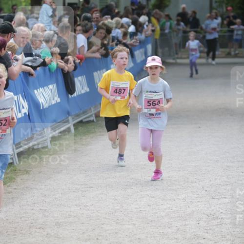 17.05.2025 - Störlauf H.Heesch http://msf.ph/oto/7896150 17.05.2025 13:59:05 Ziel 1998, 9, 2, 52, 150, 487, 564 meine-sportfotos.de