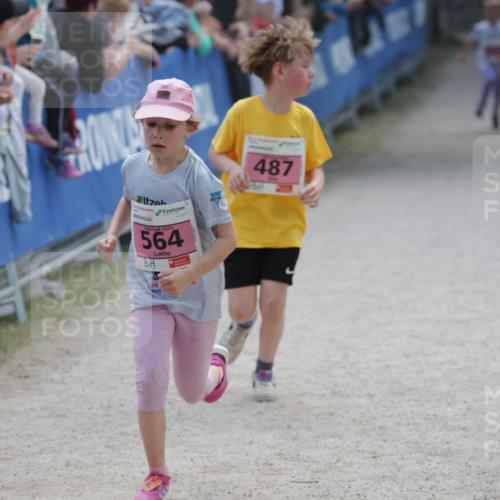 17.05.2025 - Störlauf H.Heesch http://msf.ph/oto/7896199 17.05.2025 13:59:07 Ziel 2025, 564, 487, 17 meine-sportfotos.de