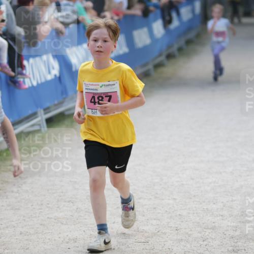17.05.2025 - Störlauf H.Heesch http://msf.ph/oto/7896224 17.05.2025 13:59:08 Ziel 2025, 564, 2025, 487 meine-sportfotos.de