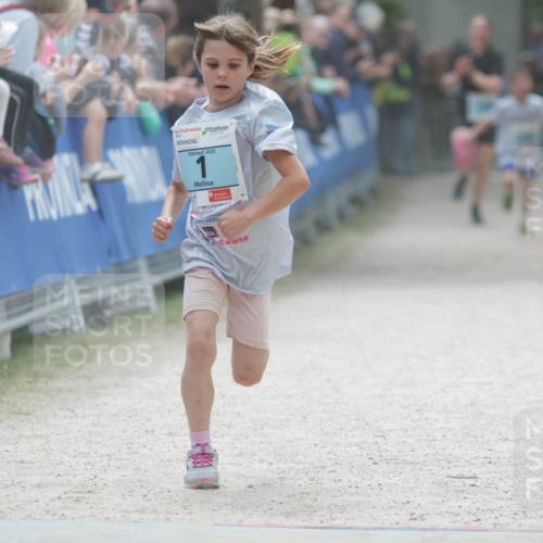17.05.2025 - Störlauf H.Heesch http://msf.ph/oto/7896276 17.05.2025 13:40:44 Ziel 2025 meine-sportfotos.de