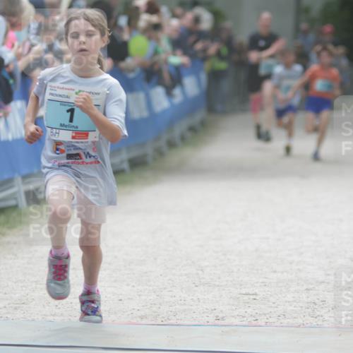 17.05.2025 - Störlauf H.Heesch http://msf.ph/oto/7896289 17.05.2025 13:40:44 Ziel 1 meine-sportfotos.de