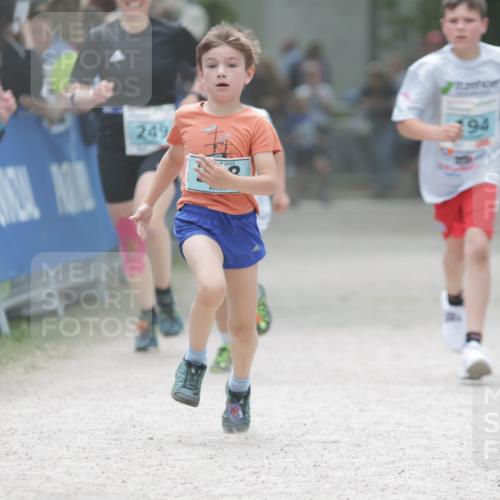 17.05.2025 - Störlauf H.Heesch http://msf.ph/oto/7896296 17.05.2025 13:40:47 Ziel 249, 2025, 194 meine-sportfotos.de