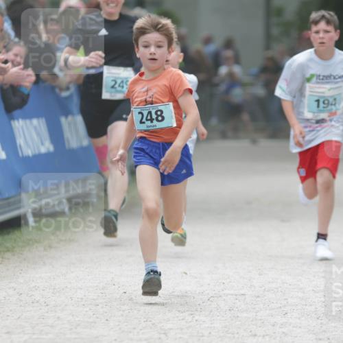 17.05.2025 - Störlauf H.Heesch http://msf.ph/oto/7896299 17.05.2025 13:40:47 Ziel 249, 2025, 248, 194 meine-sportfotos.de