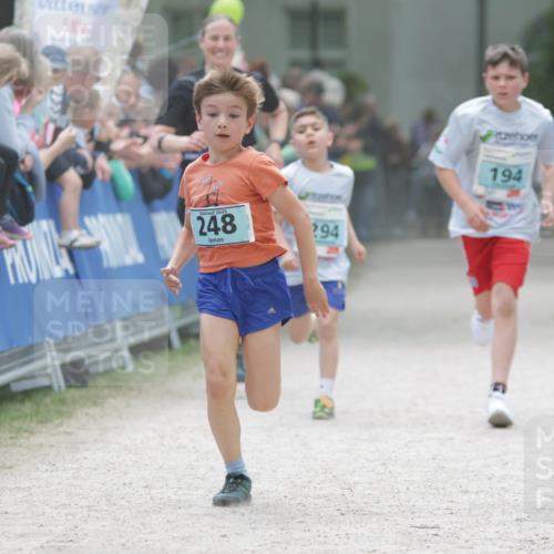 17.05.2025 - Störlauf H.Heesch http://msf.ph/oto/7896305 17.05.2025 13:40:48 Ziel 110, 2025, 248, 294, 194 meine-sportfotos.de