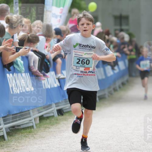 17.05.2025 - Störlauf H.Heesch http://msf.ph/oto/7896372 17.05.2025 13:40:54 Ziel 2025, 260 meine-sportfotos.de