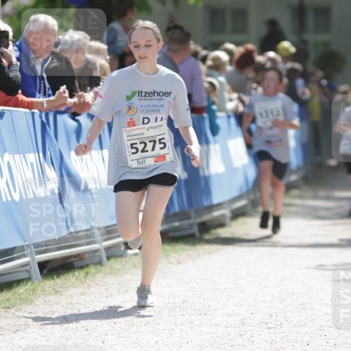 17.05.2025 - Störlauf H.Heesch http://msf.ph/oto/7896449 17.05.2025 14:50:30 Ziel 2025, 5275, 1312 meine-sportfotos.de