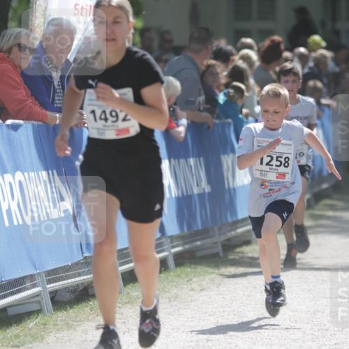 17.05.2025 - Störlauf H.Heesch http://msf.ph/oto/7896559 17.05.2025 14:50:48 Ziel 1492, 2025, 1258 meine-sportfotos.de