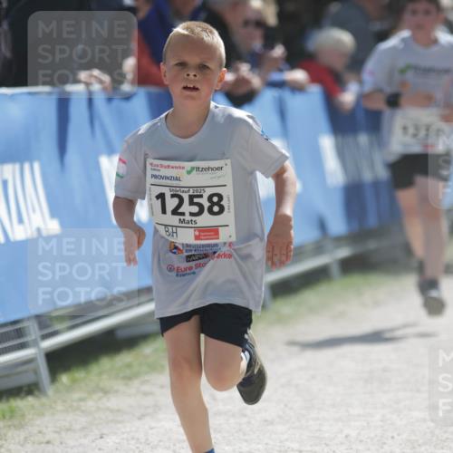 17.05.2025 - Störlauf H.Heesch http://msf.ph/oto/7896572 17.05.2025 14:50:49 Ziel 2025, 1258, 1339 meine-sportfotos.de