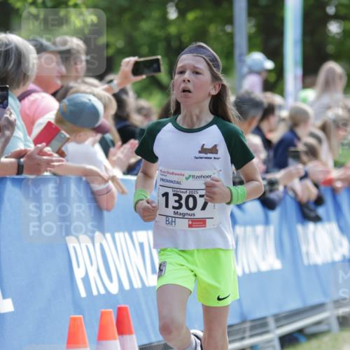 17.05.2025 - Störlauf H.Heesch http://msf.ph/oto/7896841 17.05.2025 14:39:25 Ziel 2025, 1307 meine-sportfotos.de