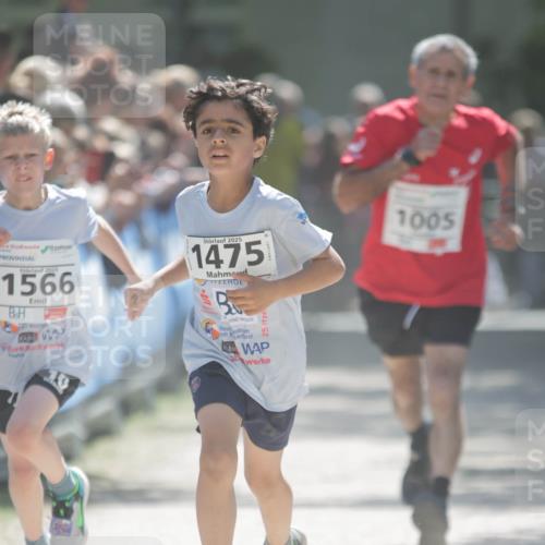 17.05.2025 - Störlauf H.Heesch http://msf.ph/oto/7897308 17.05.2025 14:40:46 Ziel 2025, 1566, 2025, 1475, 1005 meine-sportfotos.de