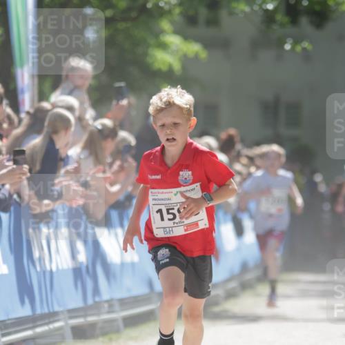17.05.2025 - Störlauf H.Heesch http://msf.ph/oto/7897483 17.05.2025 14:41:32 Ziel 2, 15 meine-sportfotos.de