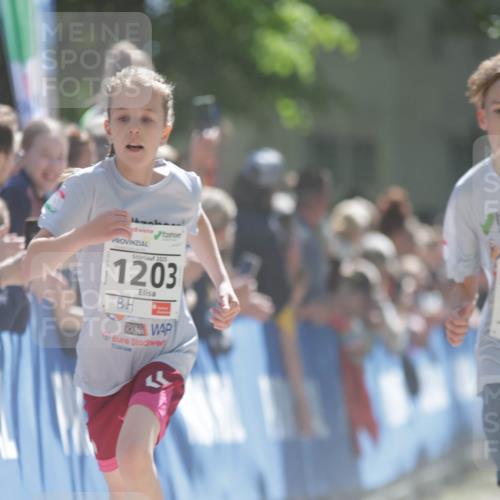 17.05.2025 - Störlauf H.Heesch http://msf.ph/oto/7897516 17.05.2025 14:41:35 Ziel 2025, 1203 meine-sportfotos.de