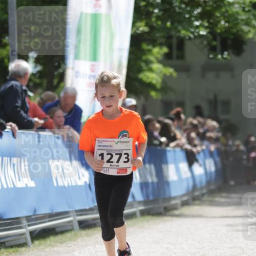 17.05.2025 - Störlauf H.Heesch http://msf.ph/oto/7897524 17.05.2025 14:53:45 Ziel 2025, 1273 meine-sportfotos.de