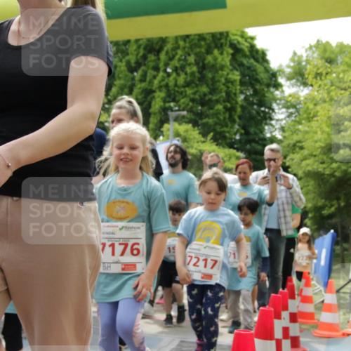 17.05.2025 - Störlauf H.Heesch http://msf.ph/oto/7897528 17.05.2025 13:03:28 Ziel 7176, 7217 meine-sportfotos.de