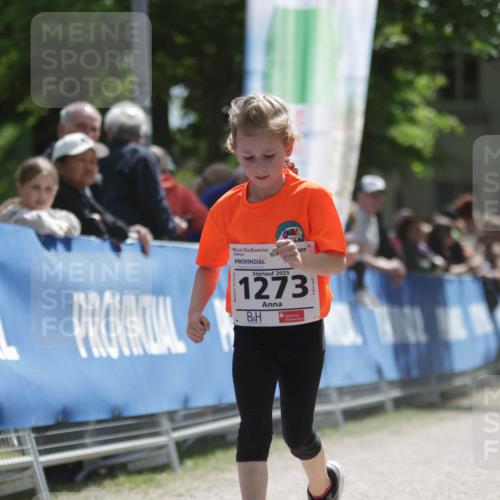 17.05.2025 - Störlauf H.Heesch http://msf.ph/oto/7897536 17.05.2025 14:53:45 Ziel 2025, 1273 meine-sportfotos.de