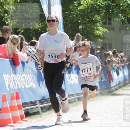 17.05.2025 - Störlauf H.Heesch http://msf.ph/oto/7897590 17.05.2025 14:41:49 Ziel 1536, 1277, 1094 meine-sportfotos.de