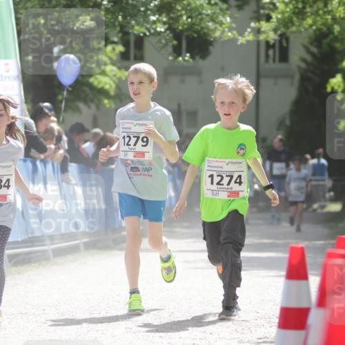 17.05.2025 - Störlauf H.Heesch http://msf.ph/oto/7897688 17.05.2025 14:54:20 Ziel 1284, 2025, 1279, 2025, 1274 meine-sportfotos.de