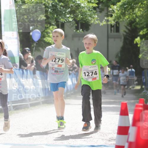 17.05.2025 - Störlauf H.Heesch http://msf.ph/oto/7897693 17.05.2025 14:54:20 Ziel 2025, 1284, 2025, 1279, 25, 1274 meine-sportfotos.de
