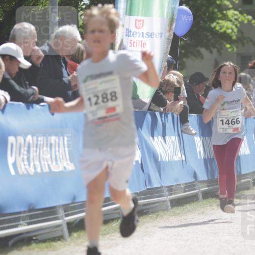 17.05.2025 - Störlauf H.Heesch http://msf.ph/oto/7897715 17.05.2025 14:54:27 Ziel 1288, 1466, 147, 1463, 14 meine-sportfotos.de