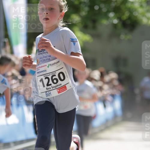 17.05.2025 - Störlauf H.Heesch http://msf.ph/oto/7897735 17.05.2025 14:42:23 Ziel 2025, 1260 meine-sportfotos.de
