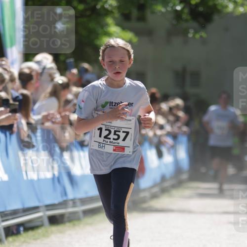 17.05.2025 - Störlauf H.Heesch http://msf.ph/oto/7897743 17.05.2025 14:42:25 Ziel 2025, 1257 meine-sportfotos.de