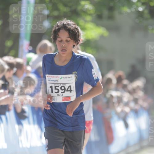 17.05.2025 - Störlauf H.Heesch http://msf.ph/oto/7897842 17.05.2025 14:42:38 Ziel 2025, 1594 meine-sportfotos.de