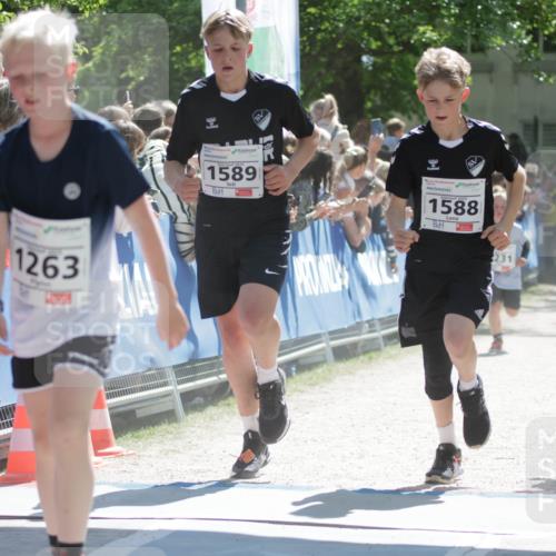 17.05.2025 - Störlauf H.Heesch http://msf.ph/oto/7898076 17.05.2025 14:43:12 Ziel 78, 1263, 1589, 1588, 231, 1248 meine-sportfotos.de
