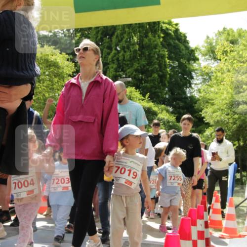17.05.2025 - Störlauf H.Heesch http://msf.ph/oto/7898128 17.05.2025 13:05:03 Ziel 1601, 7004, 7203, 7019, 7255 meine-sportfotos.de